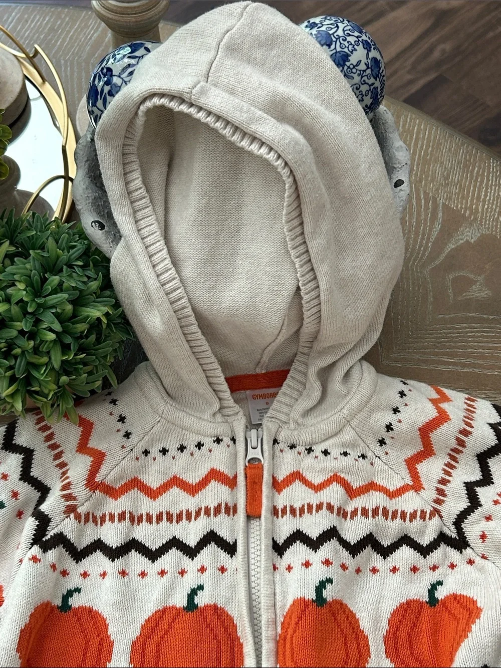 Gymboree Fall Harvest Pumpkin Cream Hooded Zip Cardigan Sweater